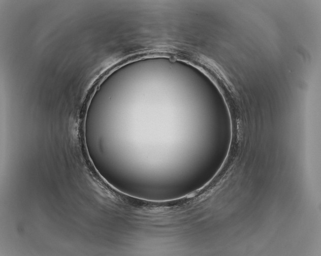 X0000113131260200909041140