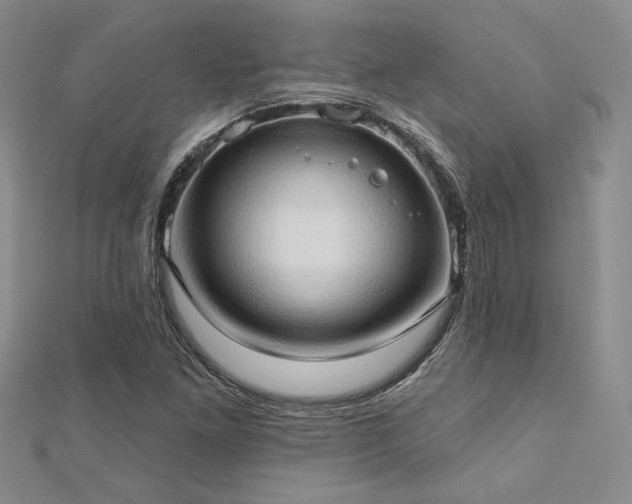 X0000113131261200909041140