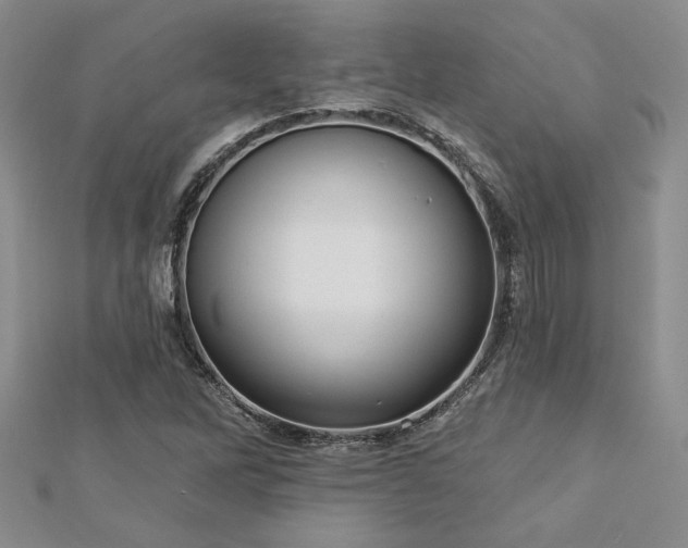 X0000113131262200909041140