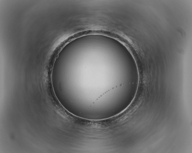 X0000113131263200909041140