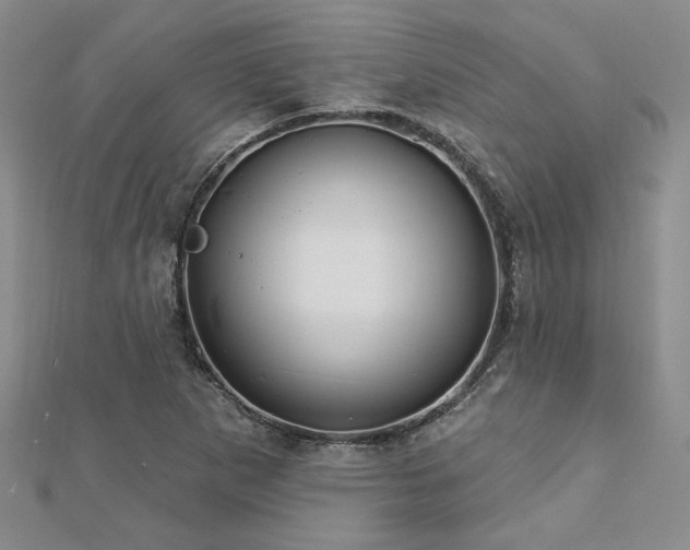 X0000113131265200909041140