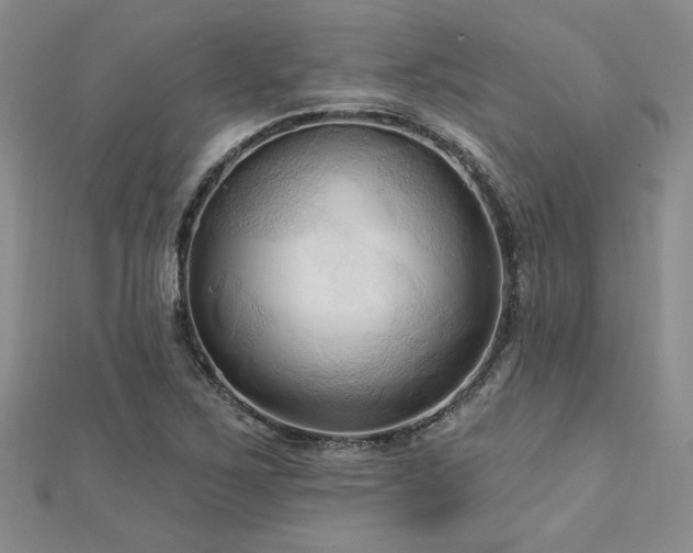 X0000113131267200909041140