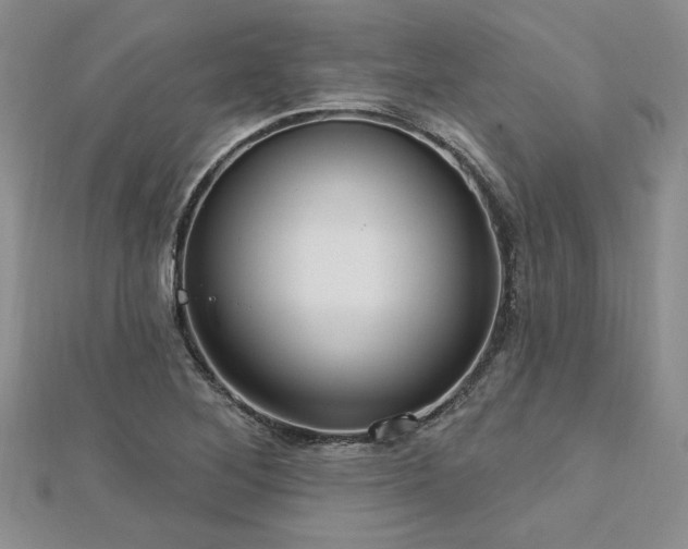 X0000113131268200909041140