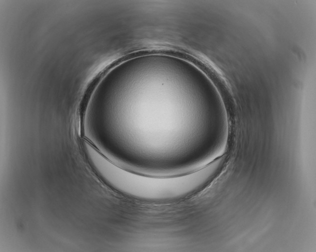 X0000113131269200909041140