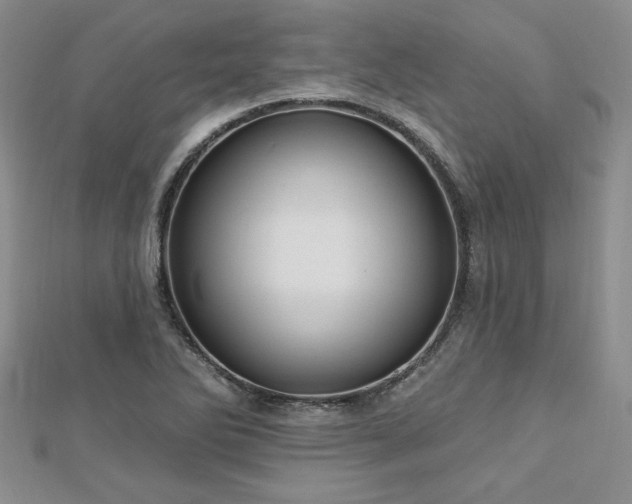 X0000113131270200909041140