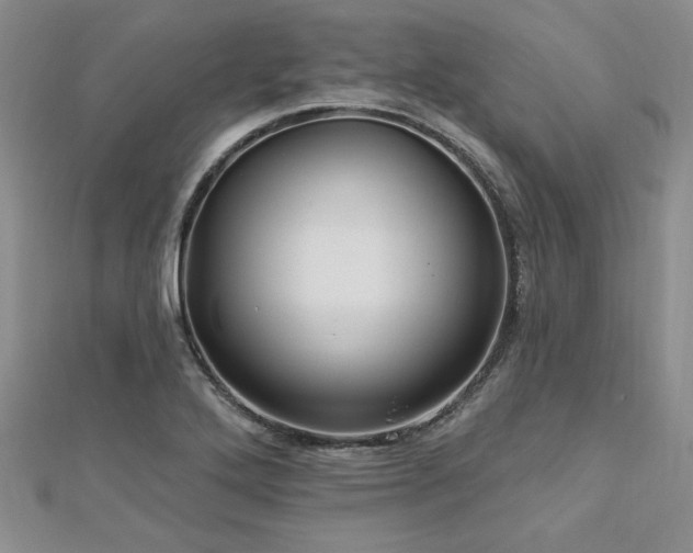 X0000113131272200909041140