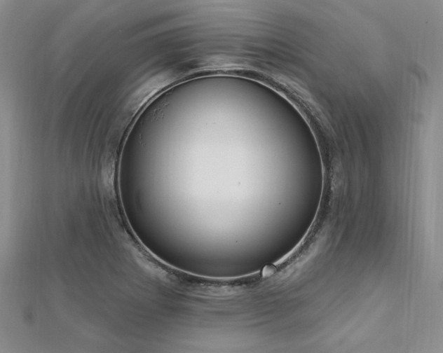 X0000113131273200909041140