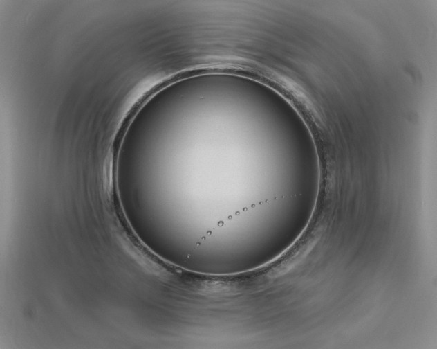 X0000113131275200909041140