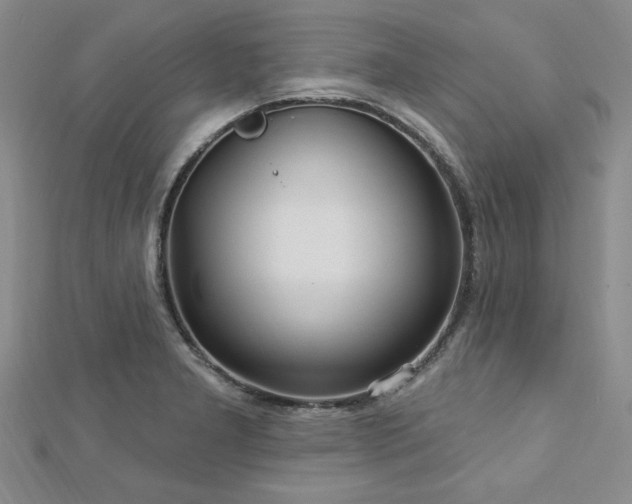 X0000113131277200909041140