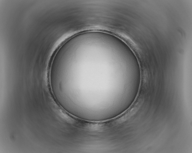 X0000113131278200909041140