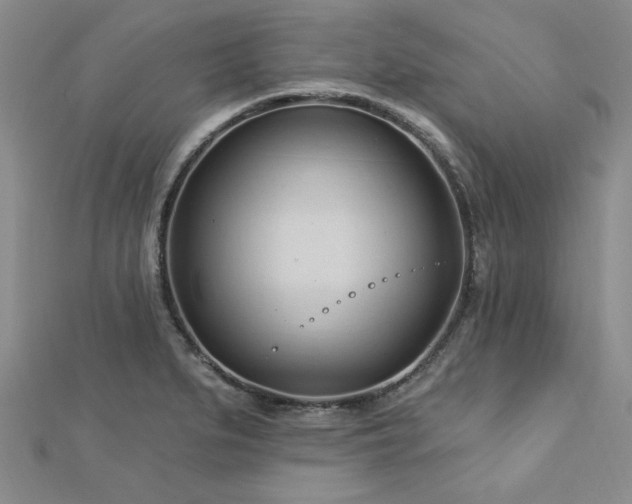 X0000113131279200909041140