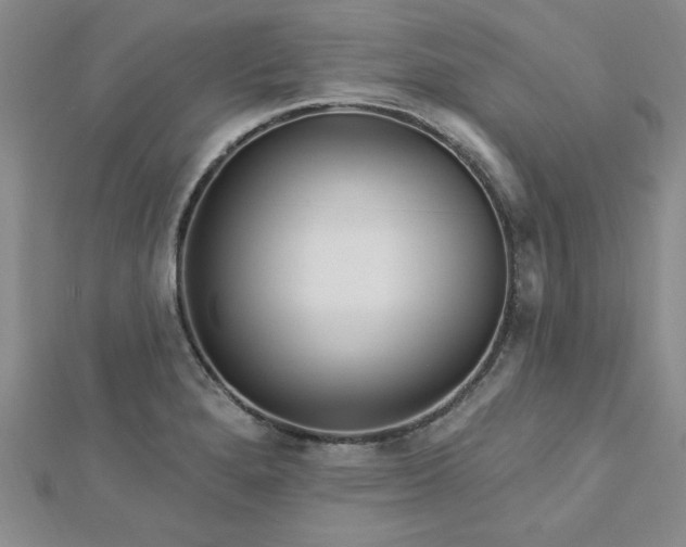 X0000113131280200909041140