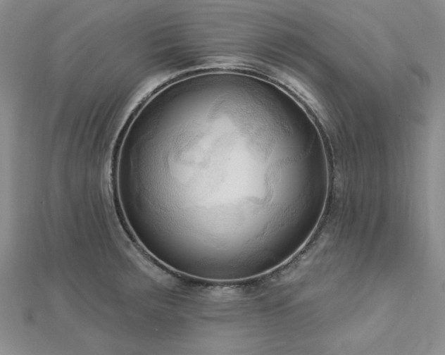 X0000113131283200909041139