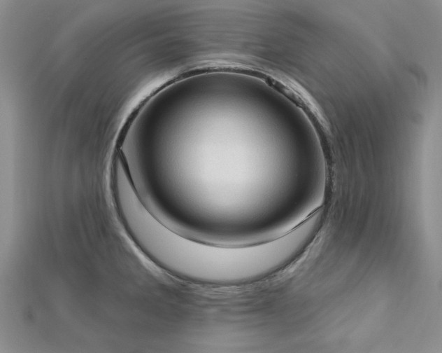 X0000113131285200909041139