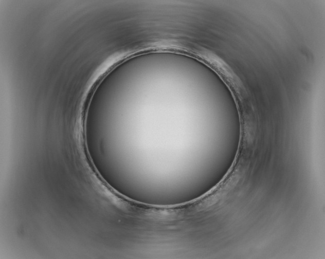X0000113131286200909041139