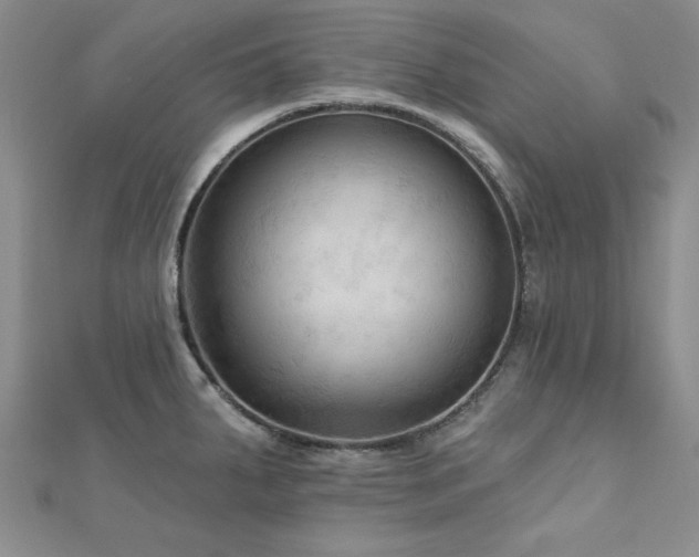 X0000113131287200909041139