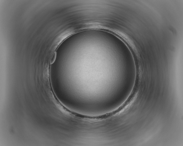 X0000113131289200909041139
