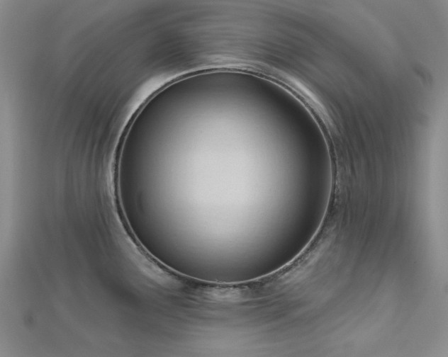 X0000113131291200909041139