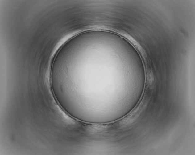 X0000113131294200909041139