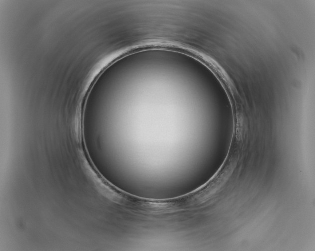 X0000113131295200909041139