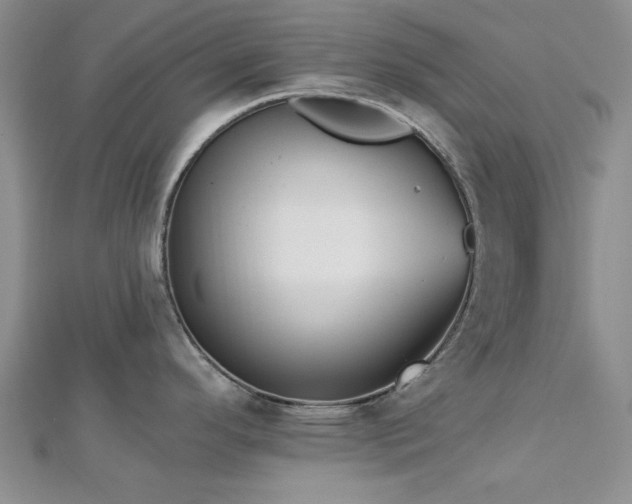 X0000113131296200909041139