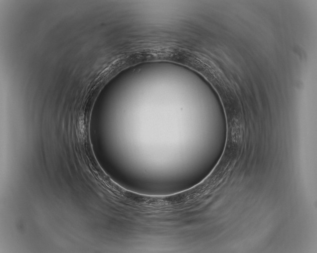 X0000113131298200909041139
