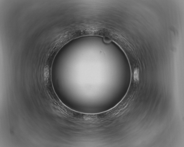 X0000113131299200909041139
