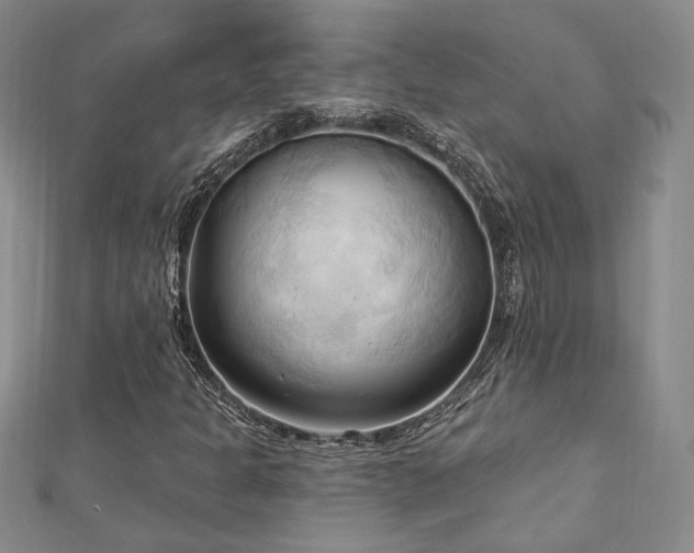 X0000113131301200909041139