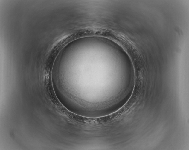 X0000113131302200909041139