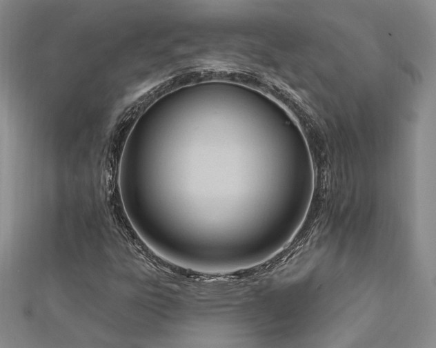 X0000113131303200909041139