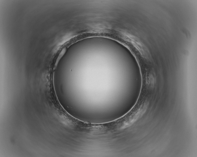 X0000113131304200909041139