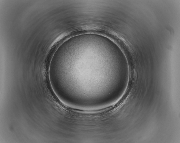 X0000113131306200909041139