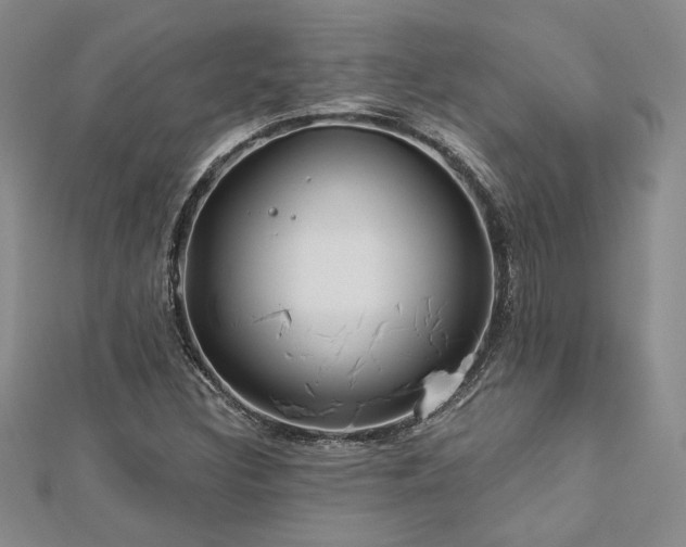 X0000113131308200909041139