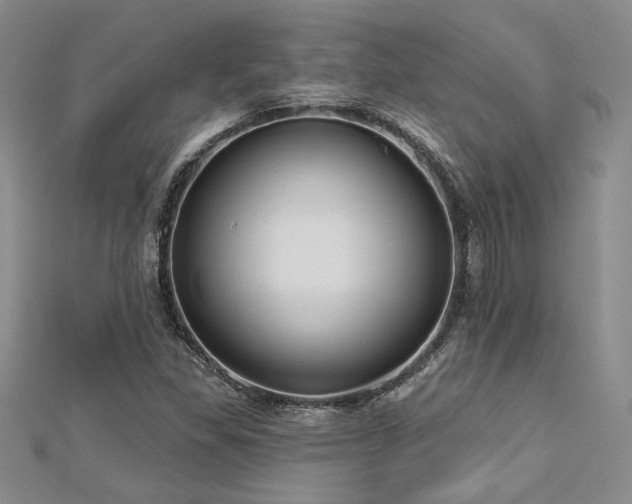 X0000113131309200909041139