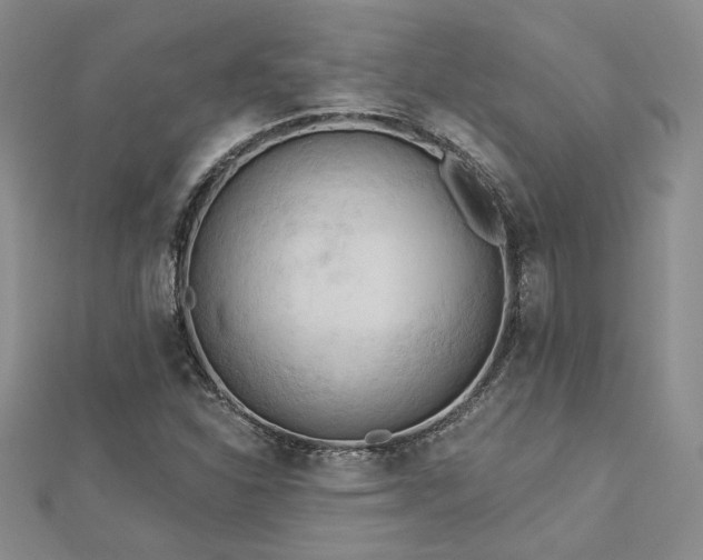 X0000113131310200909041139