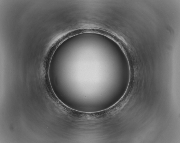 X0000113131311200909041139