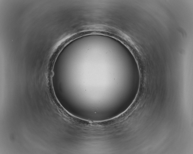 X0000113131312200909041139