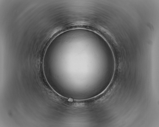 X0000113131313200909041139