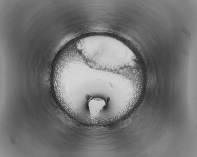 X0000113131314200909041139