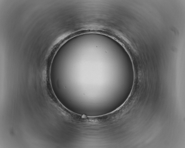 X0000113131315200909041139