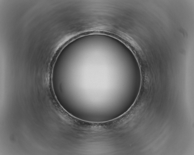 X0000113131316200909041139