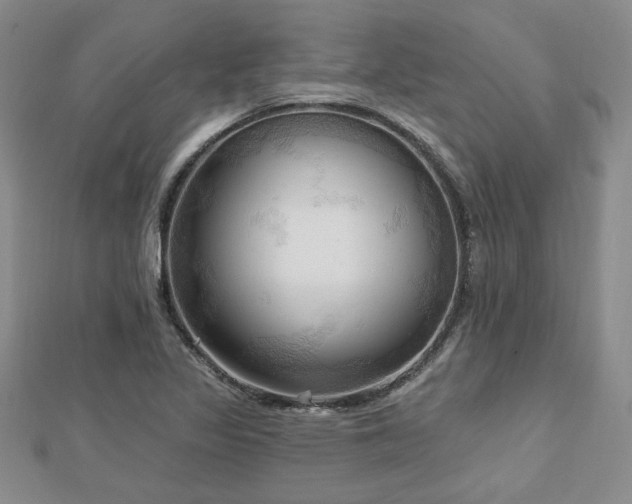 X0000113131317200909041139