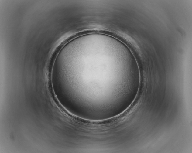 X0000113131318200909041139