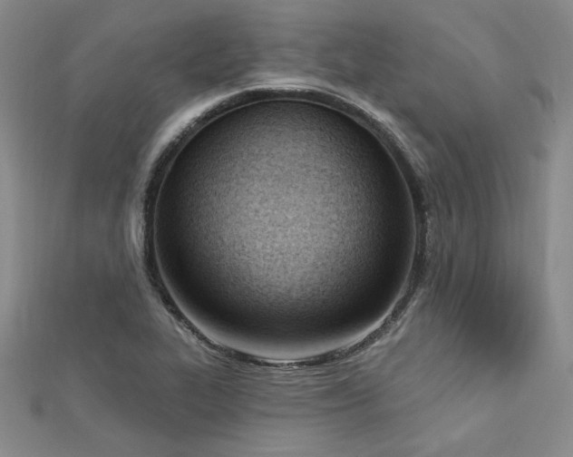 X0000113131319200909041139