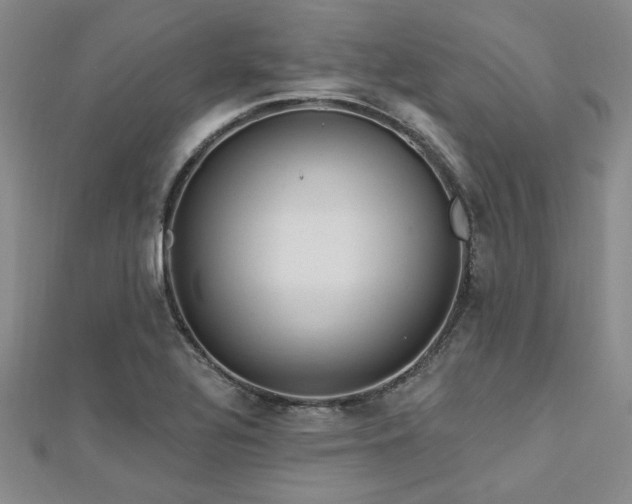 X0000113131320200909041139