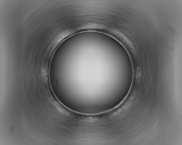 X0000113131321200909041139