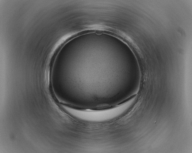 X0000113131323200909041139