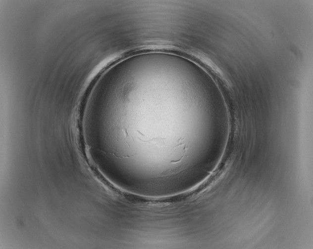 X0000113131325200909041139