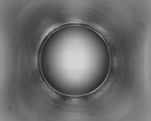 X0000113131326200909041139