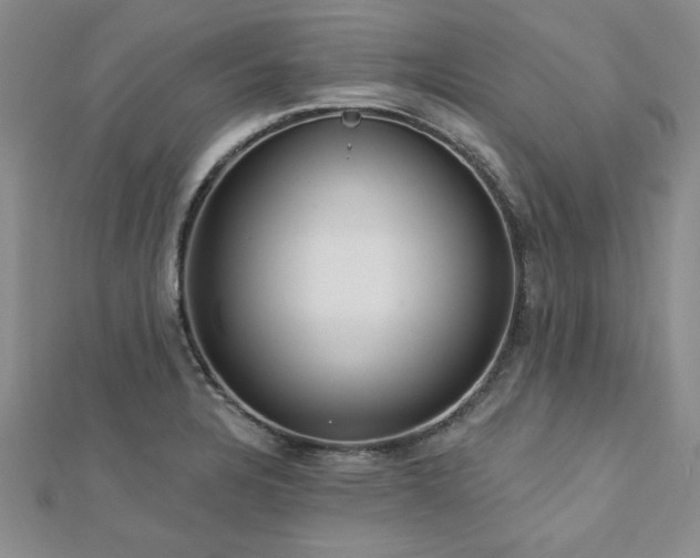 X0000113131328200909041139